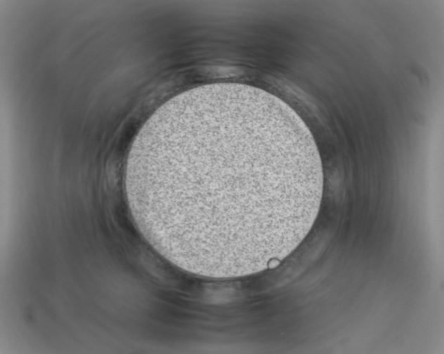 X0000112790373200910021105