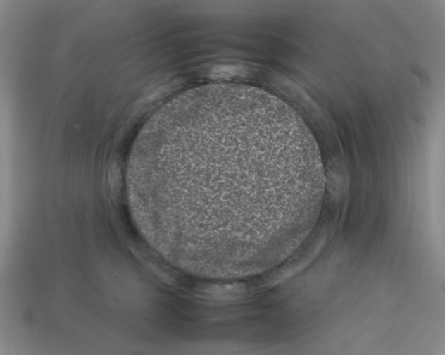 X0000112790375200910021105