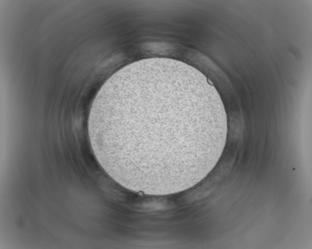 X0000112790377200910021105