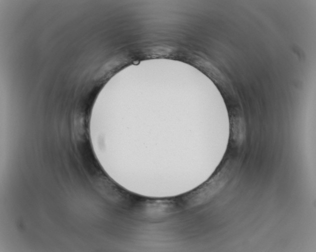 X0000112790378200910021105