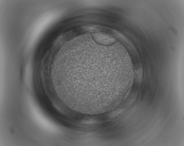 X0000112790381200910021105