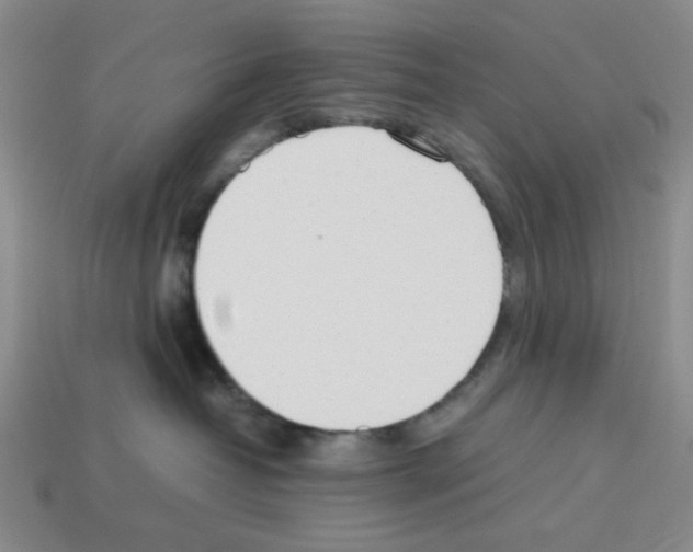 X0000112790382200910021105