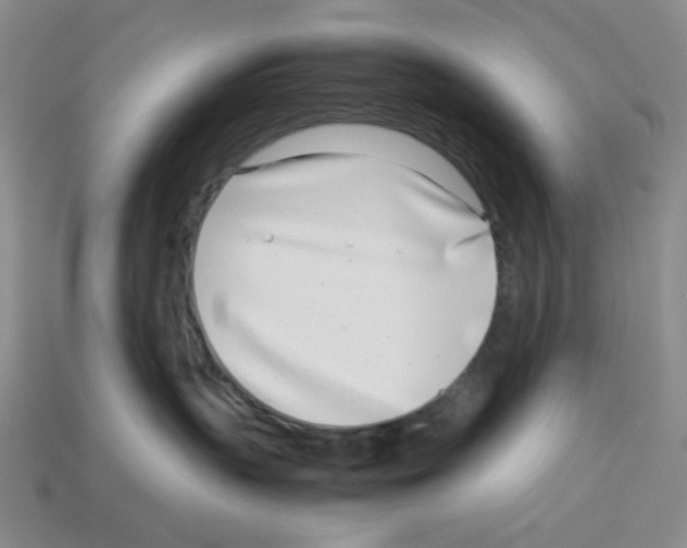 X0000112790383200910021105