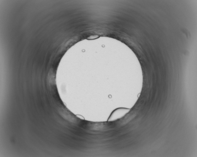 X0000112790384200910021105