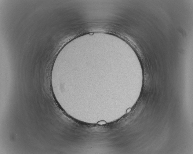 X0000112790385200910021104