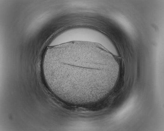 X0000112790387200910021104