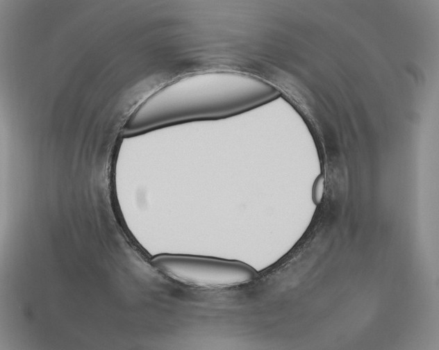 X0000112790389200910021104