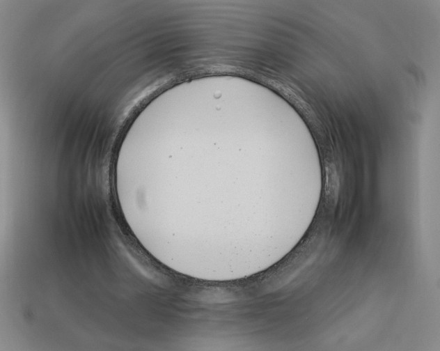 X0000112790390200910021104