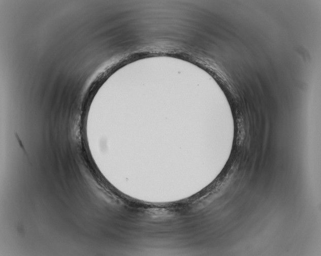 X0000112790392200910021104