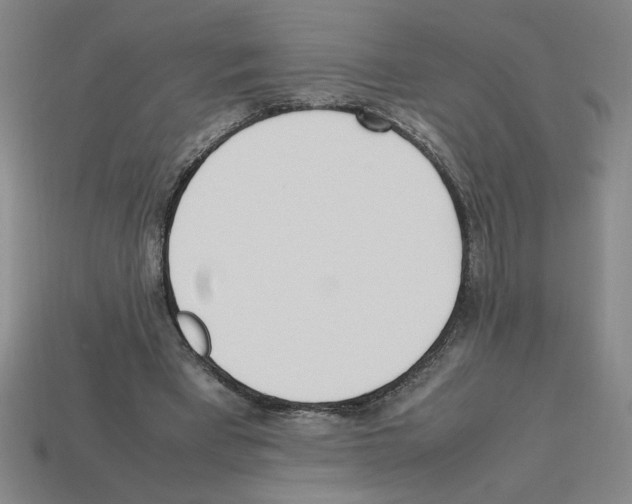 X0000112790393200910021104