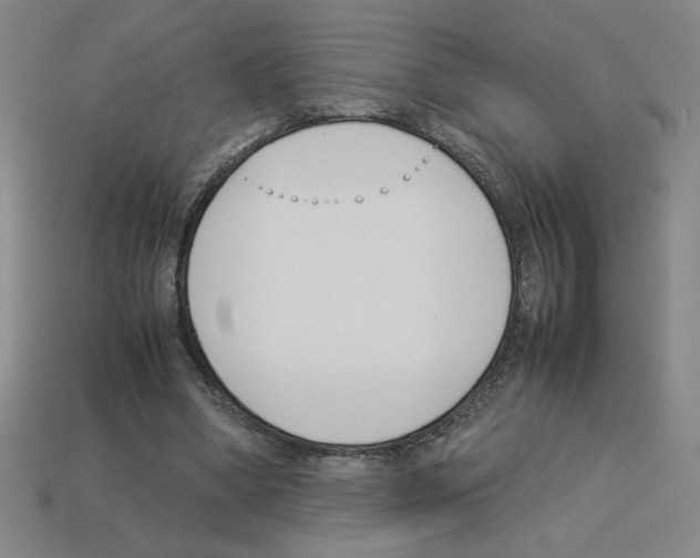 X0000112790394200910021104