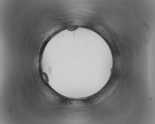 X0000112790395200910021104