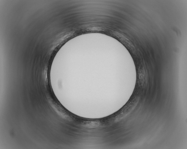 X0000112790398200910021104