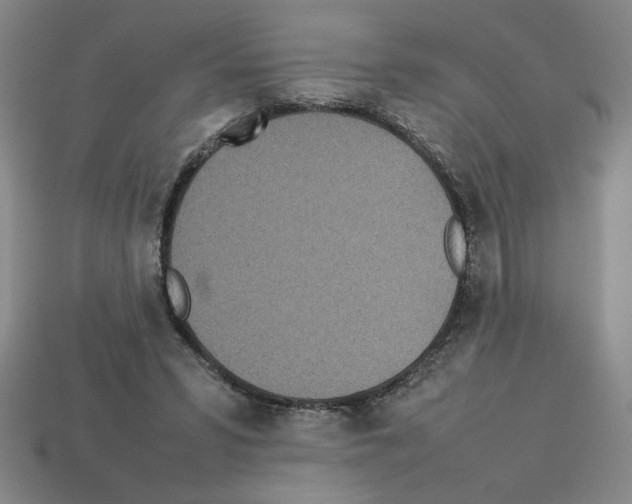 X0000112790399200910021104