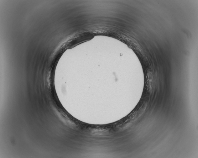 X0000112790400200910021104