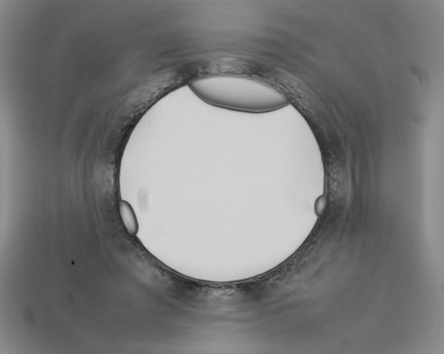 X0000112790401200910021104