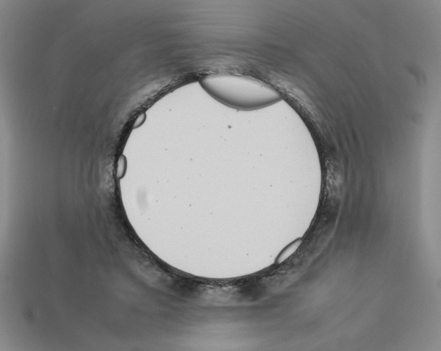 X0000112790403200910021104