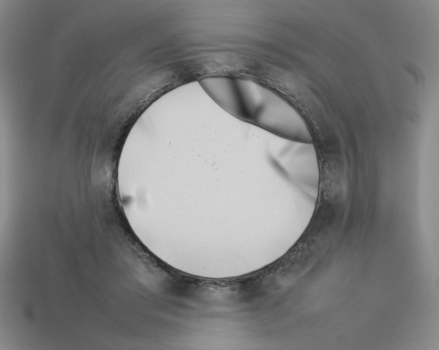 X0000112790405200910021104