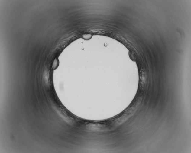 X0000112790408200910021104