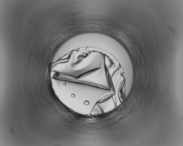 X0000112790411200910021104