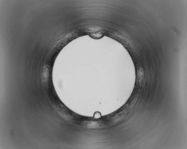 X0000112790412200910021104