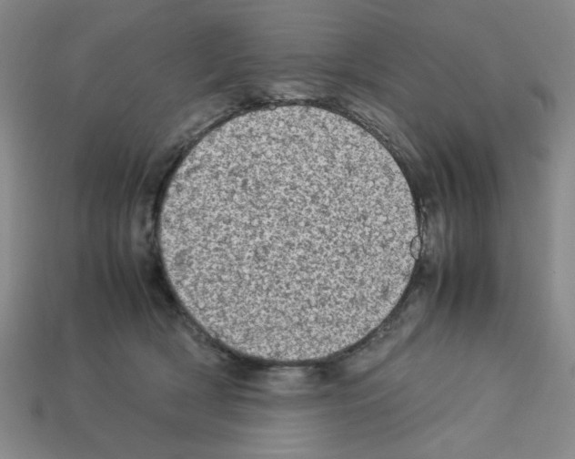 X0000112790418200910021104