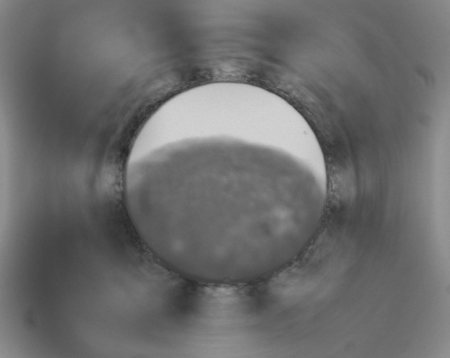 X0000112790419200910021104