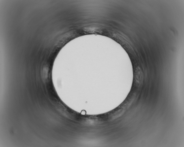 X0000112790420200910021104