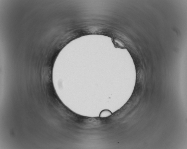 X0000112790421200910021104