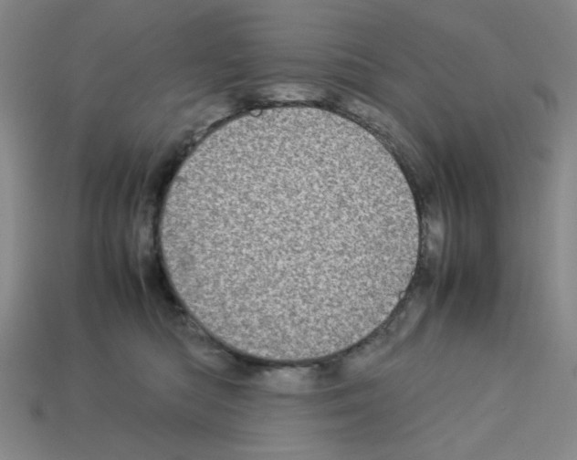 X0000112790422200910021104