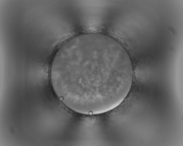 X0000112790423200910021104