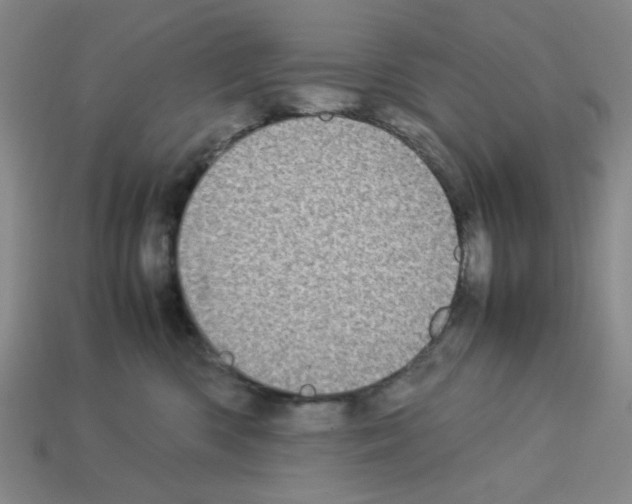 X0000112790426200910021104