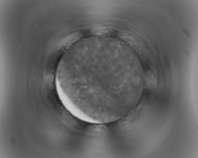 X0000112790427200910021104