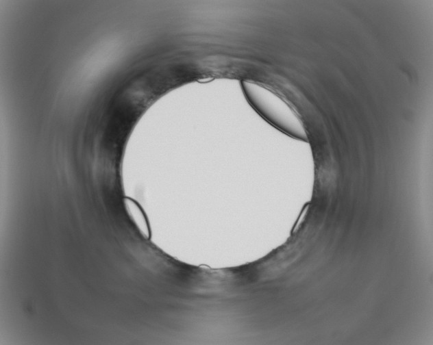 X0000112790429200910021103