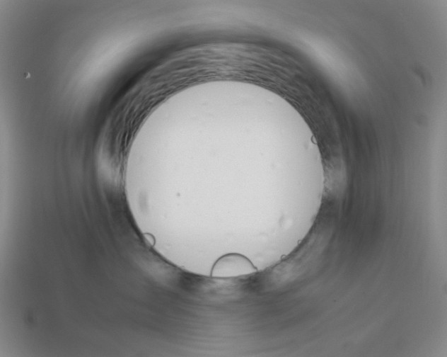 X0000112790431200910021103