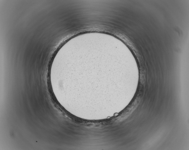 X0000112790434200910021103