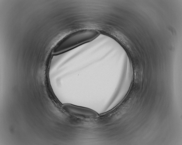 X0000112790436200910021103