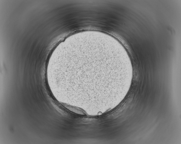 X0000112790437200910021103