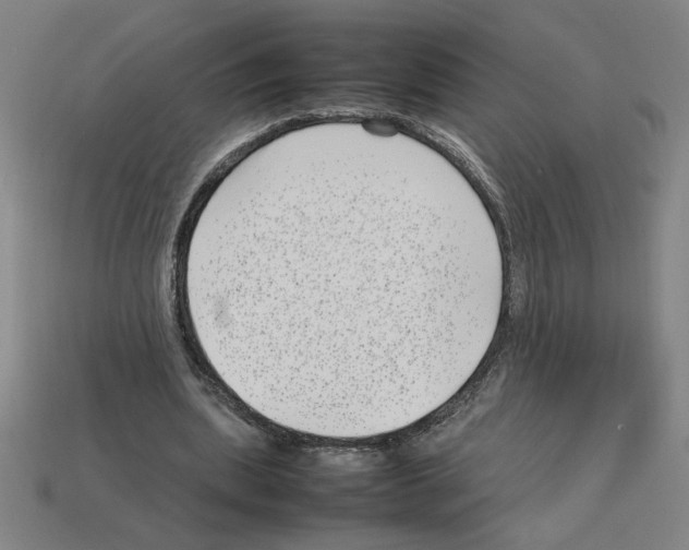 X0000112790439200910021103