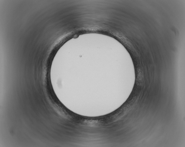 X0000112790440200910021103