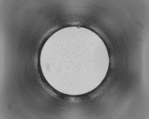 X0000112790442200910021103