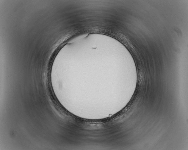 X0000112790443200910021103