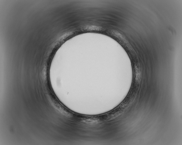 X0000112790447200910021103