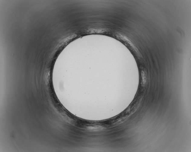 X0000112790451200910021103