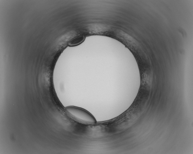 X0000112790452200910021103