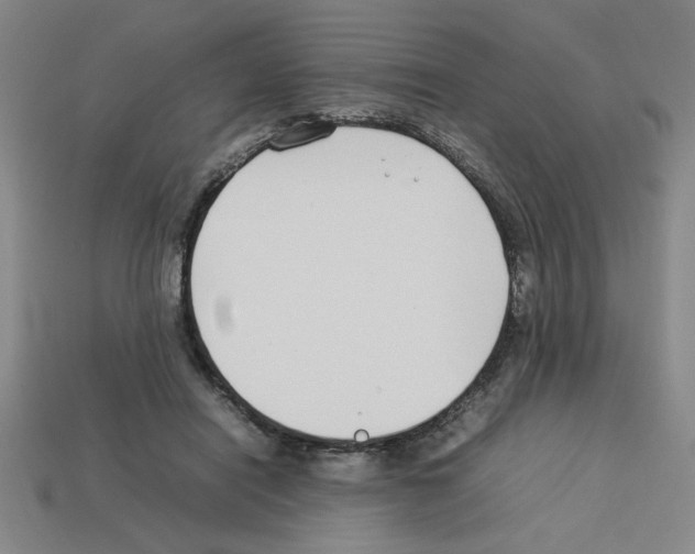 X0000112790454200910021103