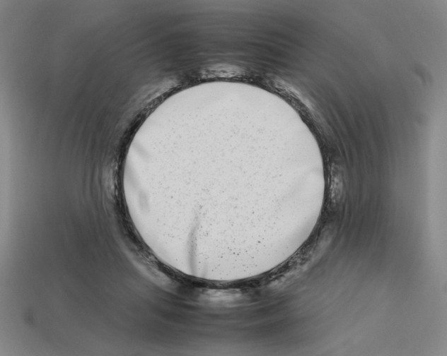 X0000112790455200910021103