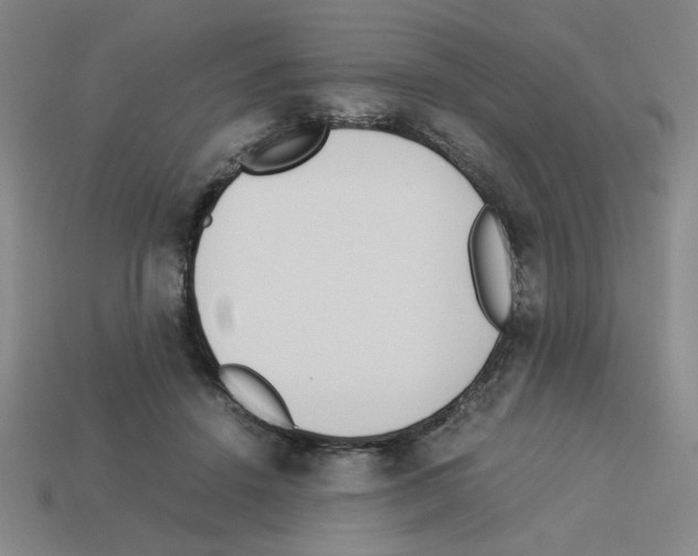 X0000112790456200910021103