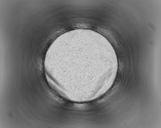 X0000112790457200910021103