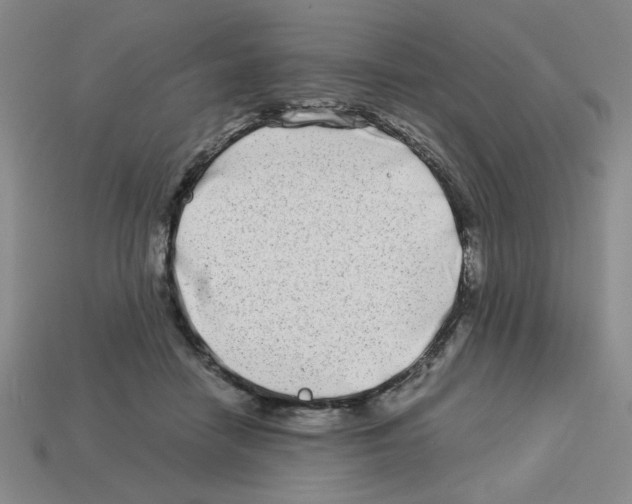 X0000112790458200910021103